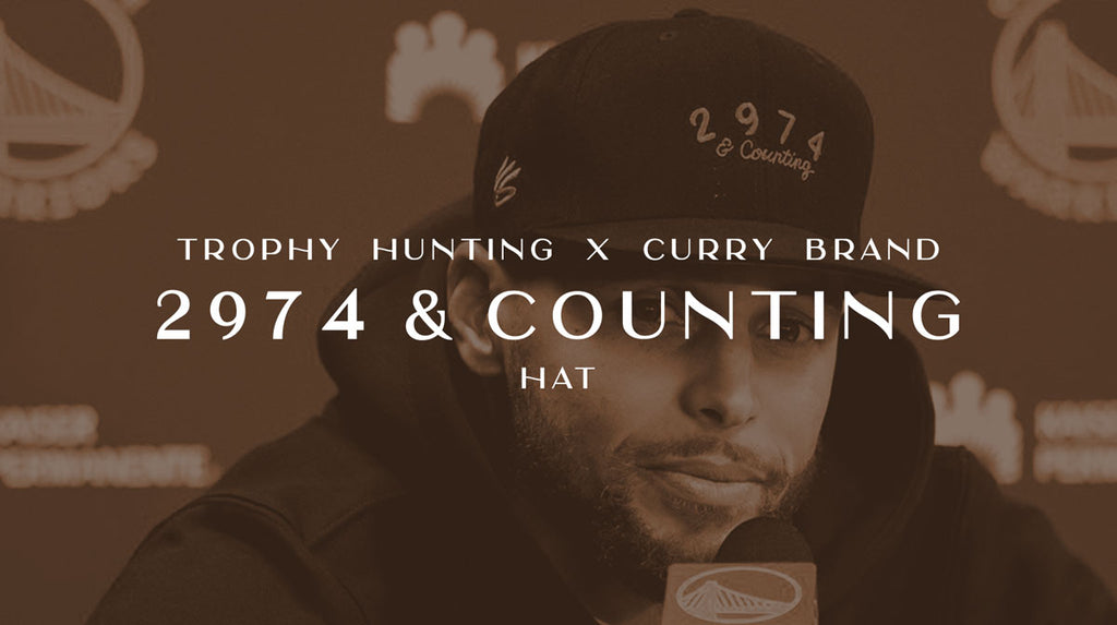 STEPHEN CURRY 2974 & COUNTING HAT